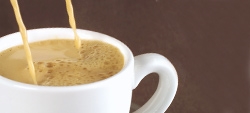 Máquinas expresso com cápsulas: a nossa seleção