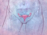 Infeções vaginais: tratar e prevenir