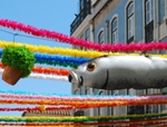 Sardinha fresquinha com boas cores