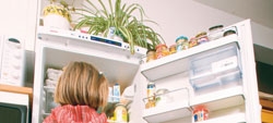 Truques para frigoríficos encastráveis