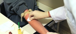 Hepatites: prevenir o contágio