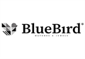 Blue Bird