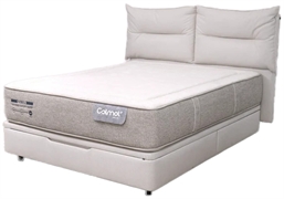 COLMOL PT NOBEL FIRM