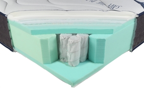 COLMOL PT SSI Planet