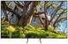 SAMSUNG 55S85D