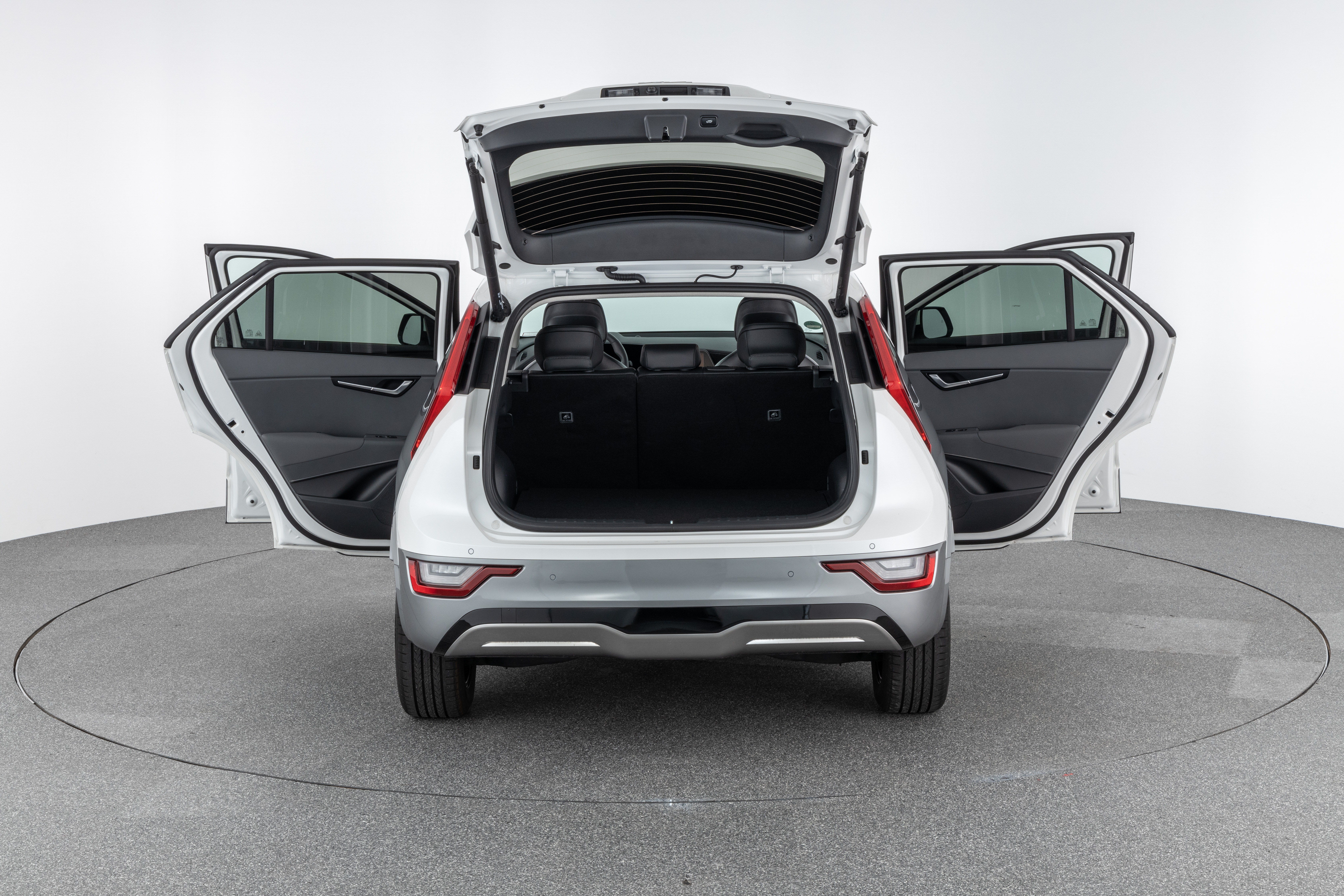 KIA NIRO EV (64,8 KWH)