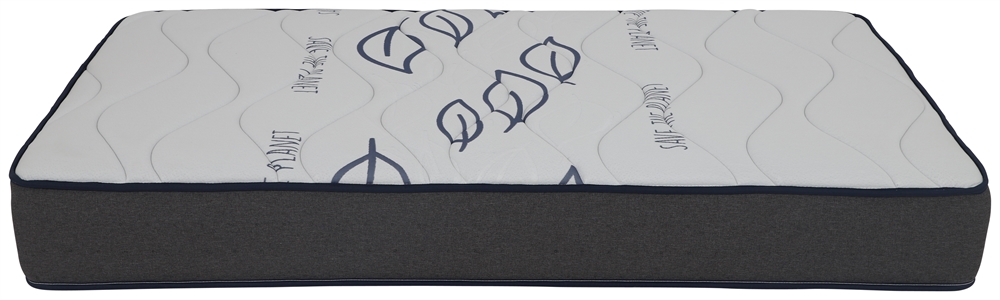COLMOL PT SSI Planet