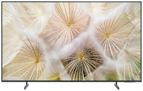 SAMSUNG TU55U8005H